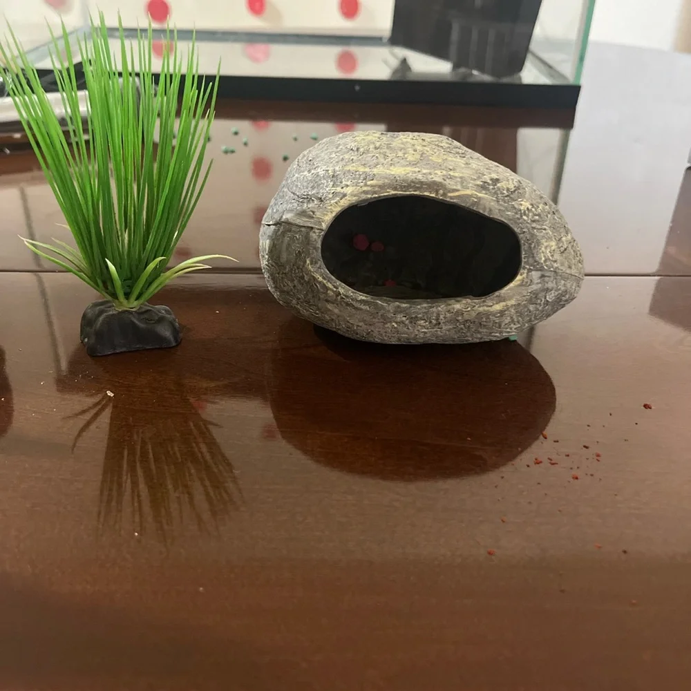 Glass Fish Tank with Accessories